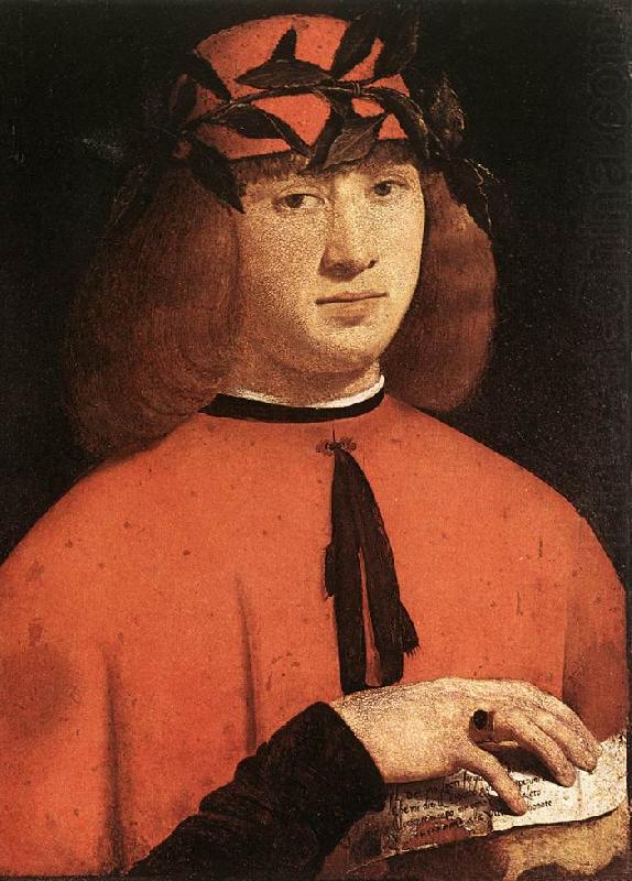 BOLTRAFFIO, Giovanni Antonio Portrait of Gerolamo Casio china oil painting image
